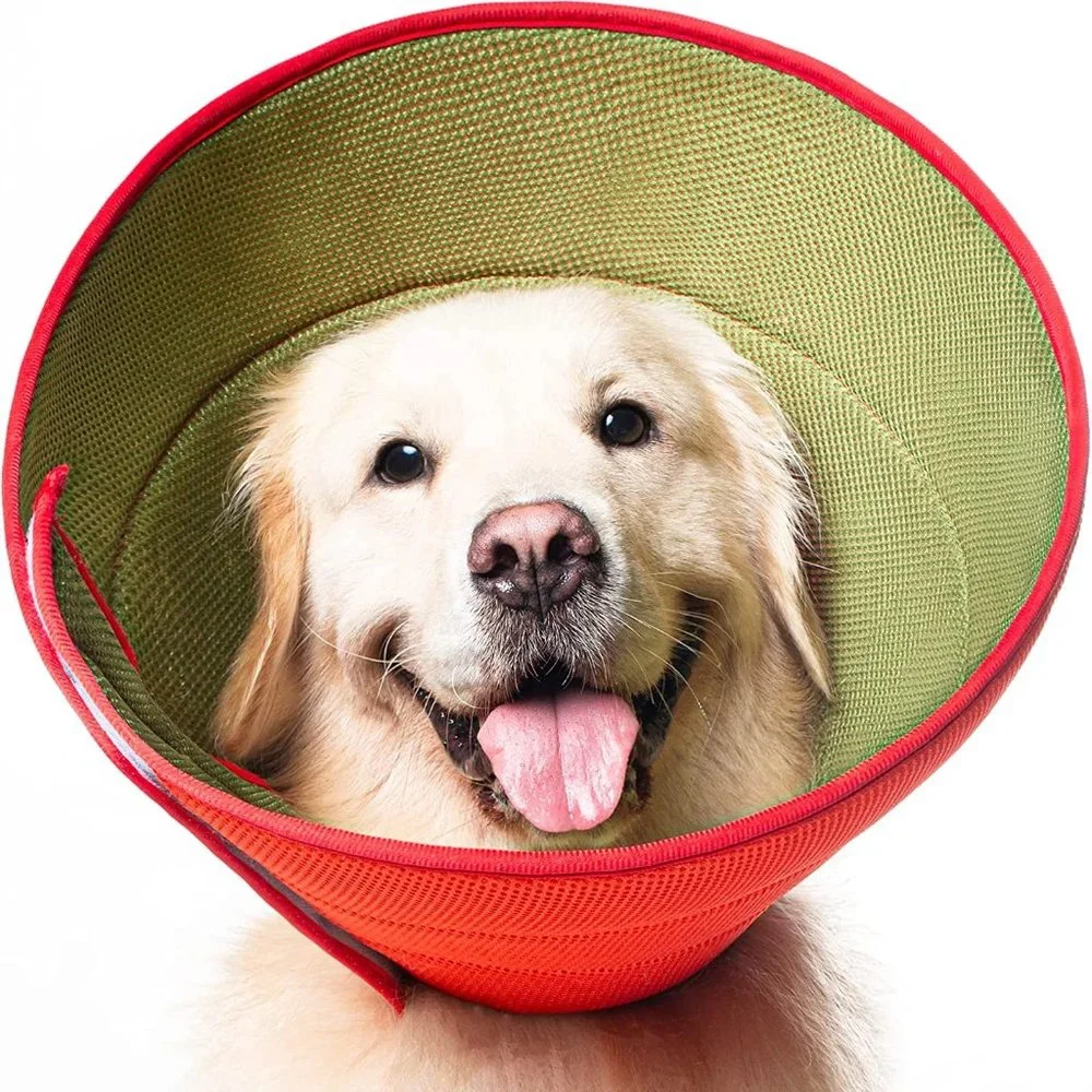 WOLFMO Soft Elizabethan Protective Dog Cone for M/L Dogs size 8